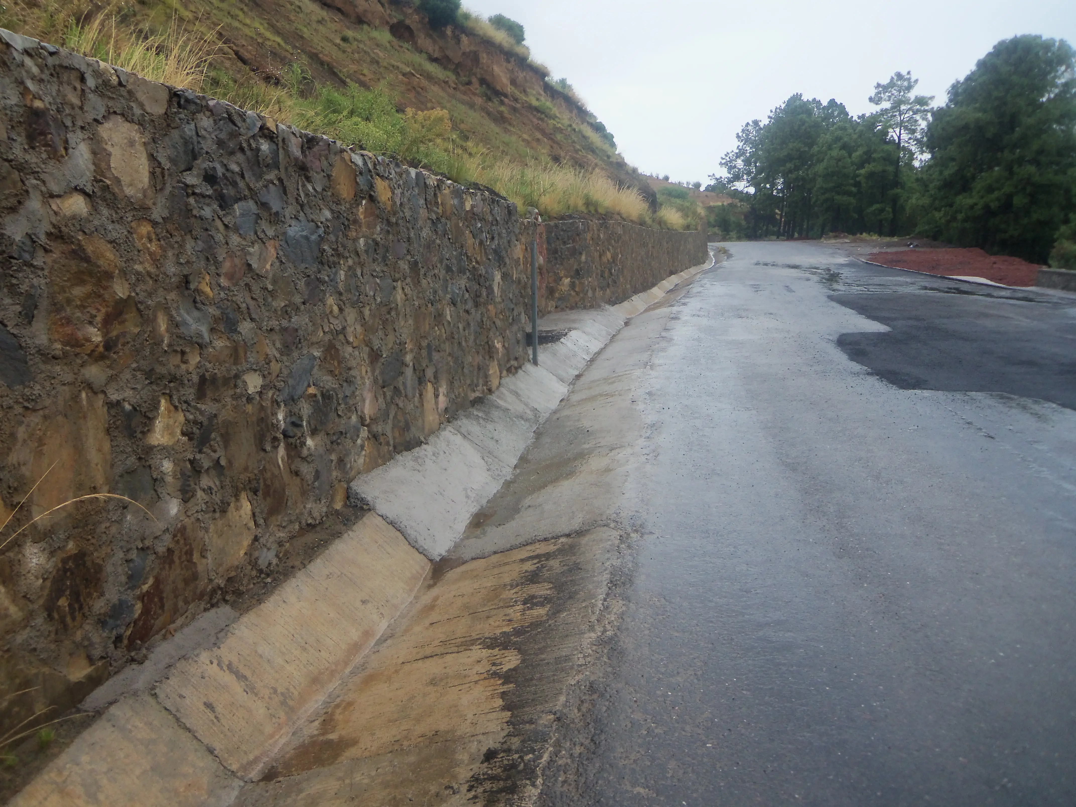 REHABILITACIÓN CARRETERA GUADALUPE VICTORIA - Vista 4