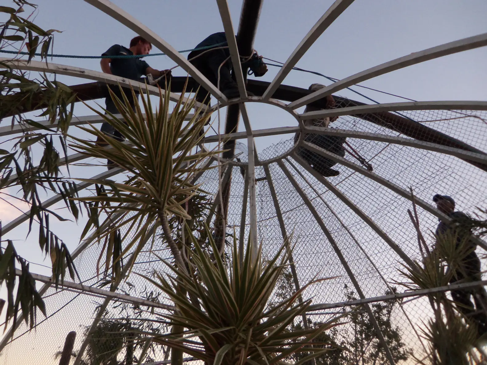 Aviario Olivia - Vista 5