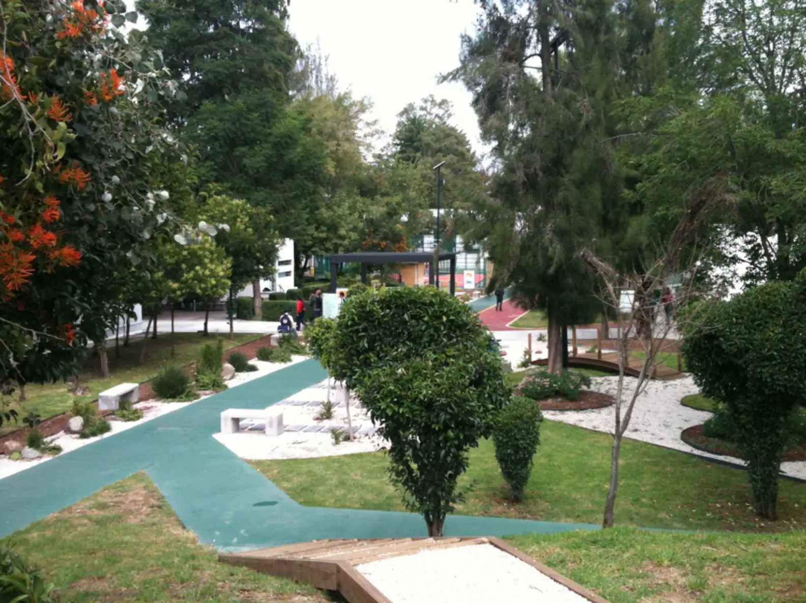 Aviario Olivia - Vista 6