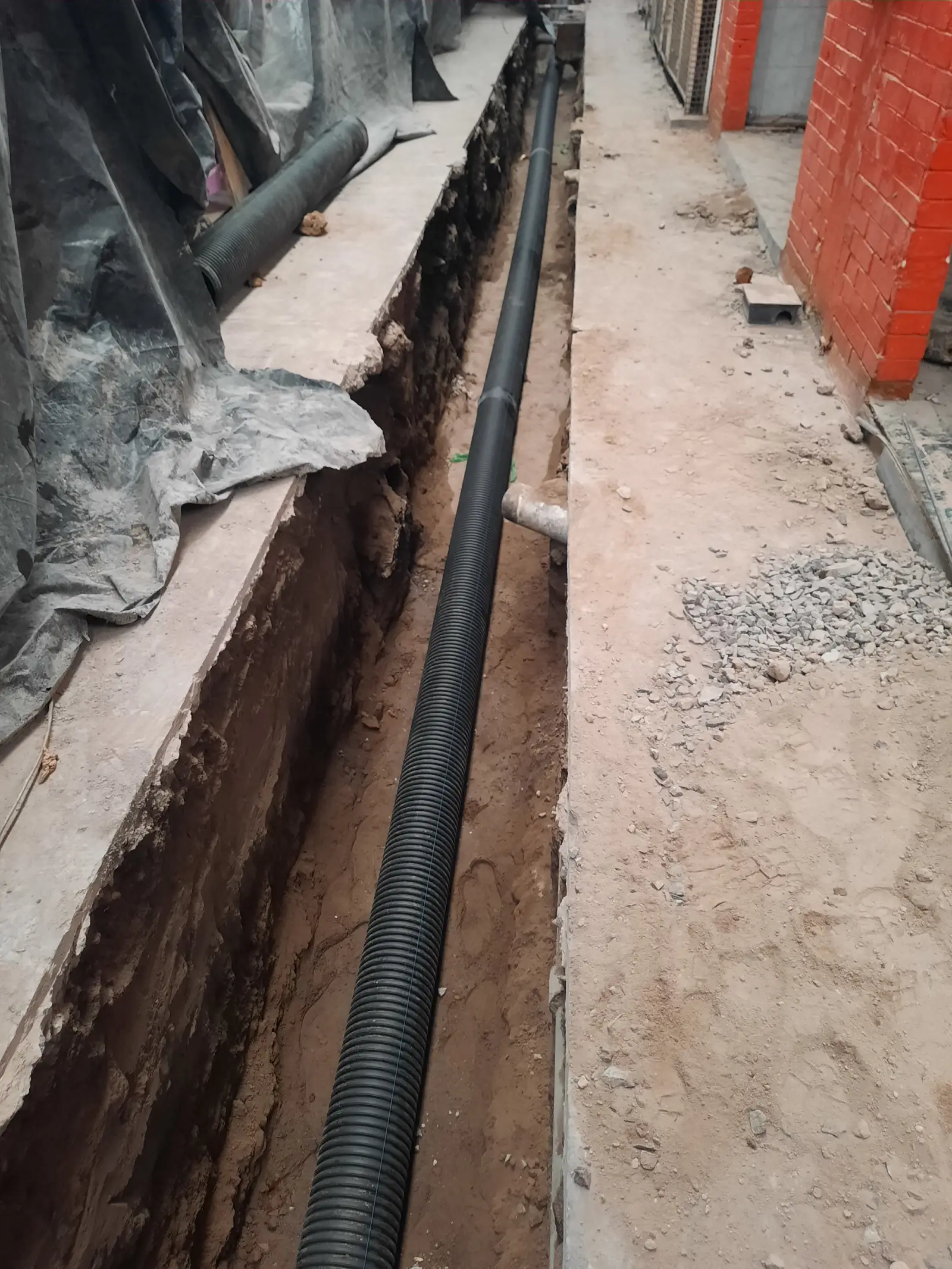 REHABILITACIÓN MERCADO DIAGONAL DEFENSOR - Vista 7